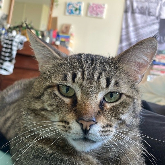 Meet your Posher, Sarah - Picture 1 of 1